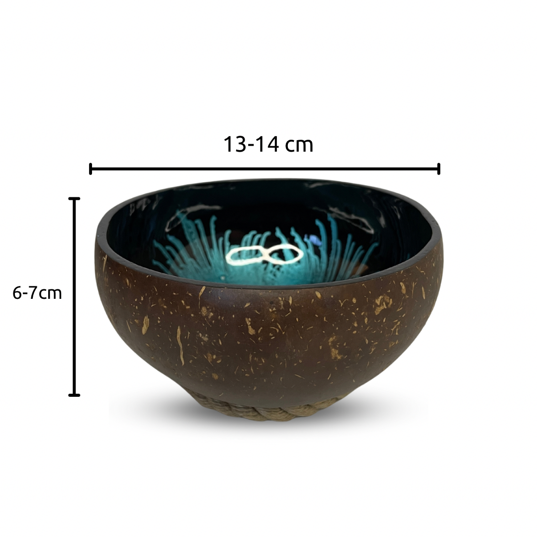 Set of 2 Blue Patterned Natural and Handmade Coconut Bowl