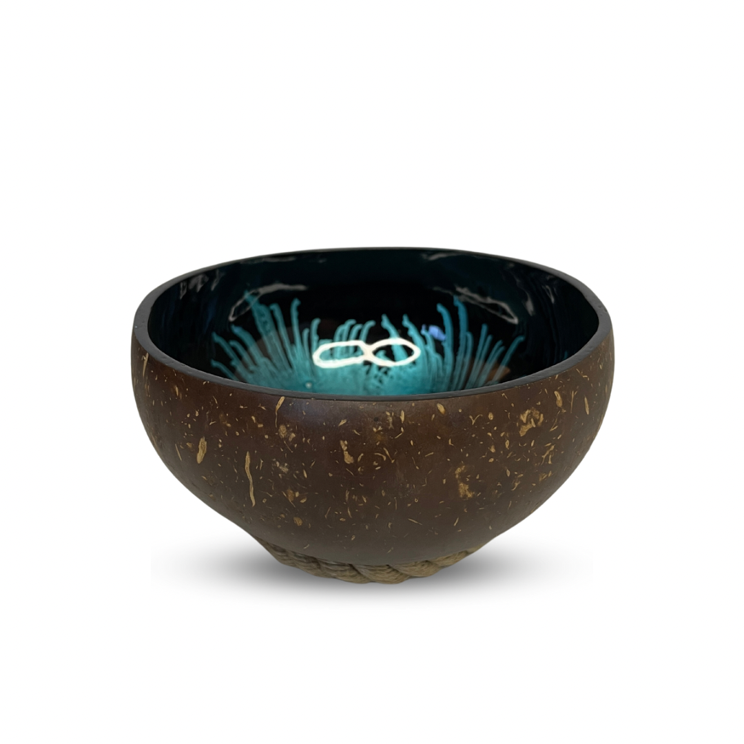 hindistan cevizi kase, coconut kase, coconut bowl